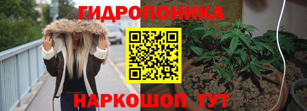 Йошкар-Ола  Канабис конопля  Вход с VPN  Бошки Шишки гибрид  Конопля LSD WEED  Канабис сатива 